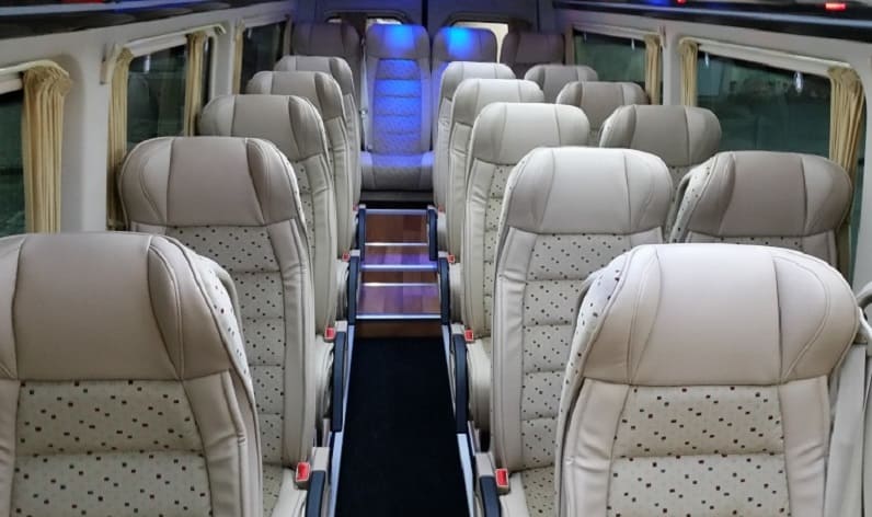 Ukraine: Coach company in Zakarpattja Oblast in Zakarpattja Oblast and Užhorod